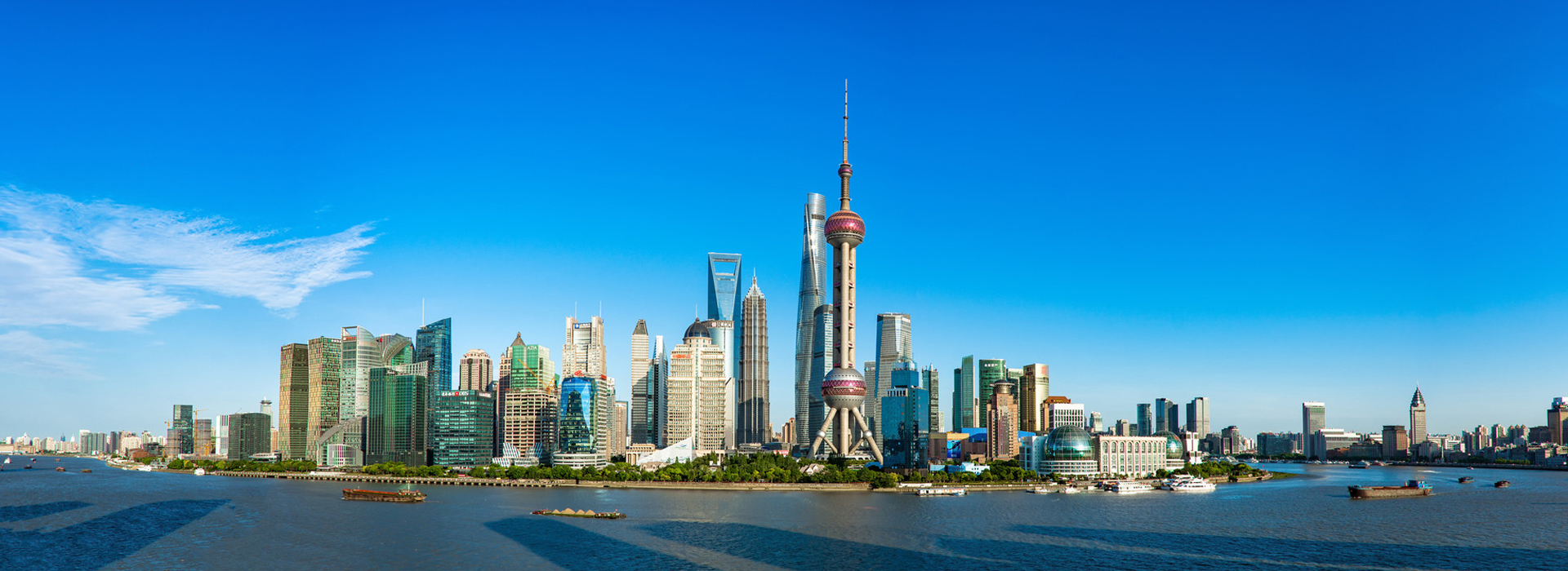 数据彰显知产价值